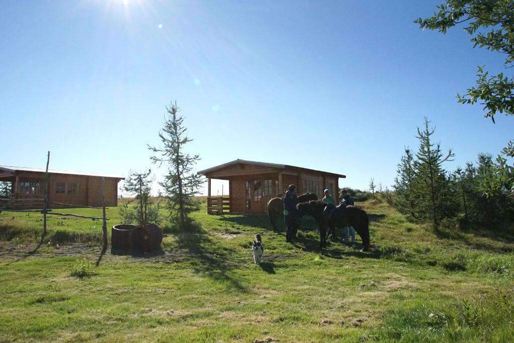 a group of people riding on horses in a field at Armuli in Reynistaður