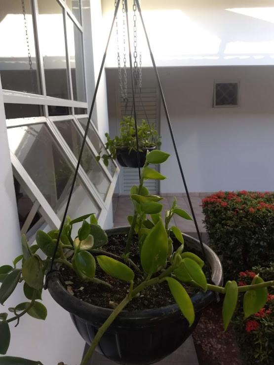  Hotel Serra Geral