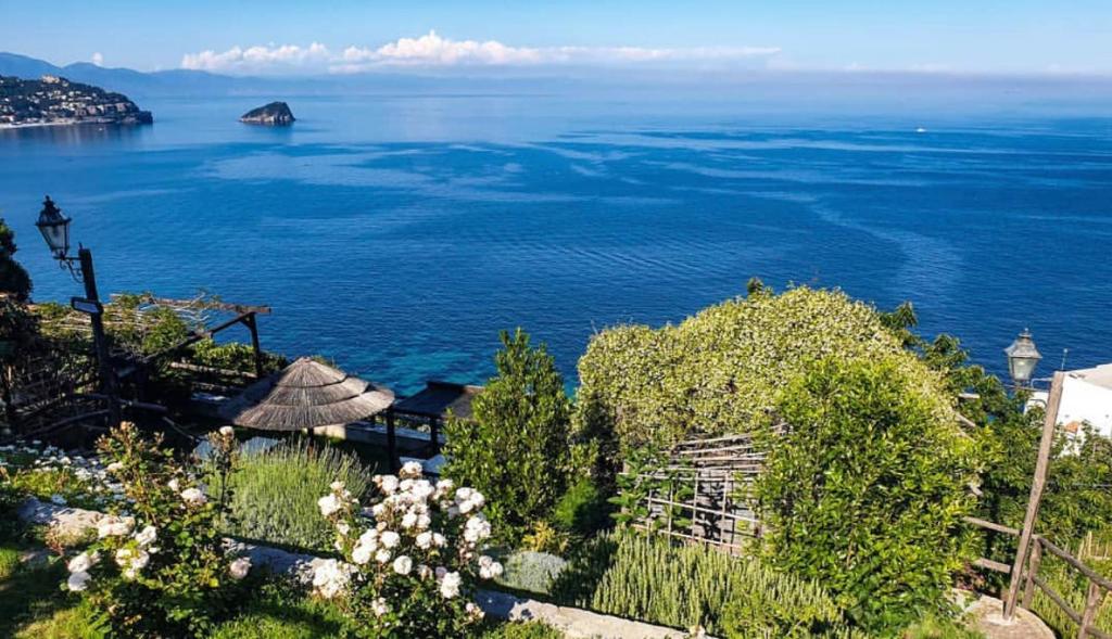 Paradiso Di Manù