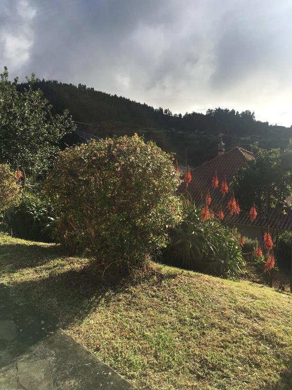 蓬塔杜帕戈Bungalows Do Amparo的房屋院子中的灌木丛