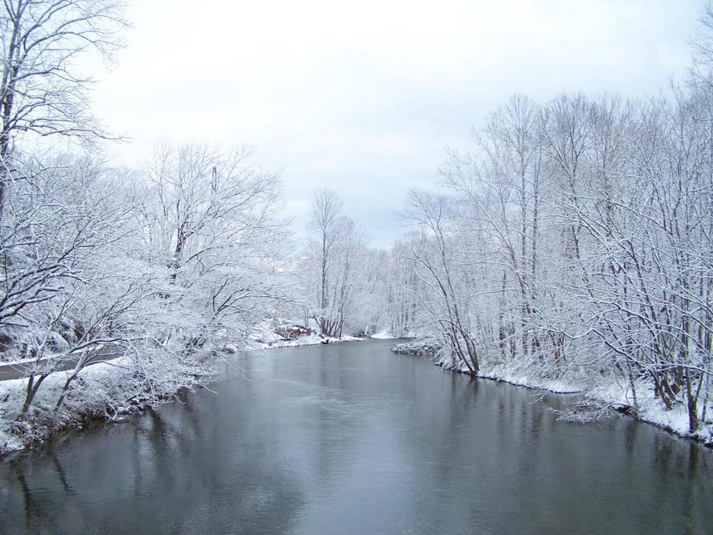 a river with snow on the branches of trees at River Dreaming in Townsend
