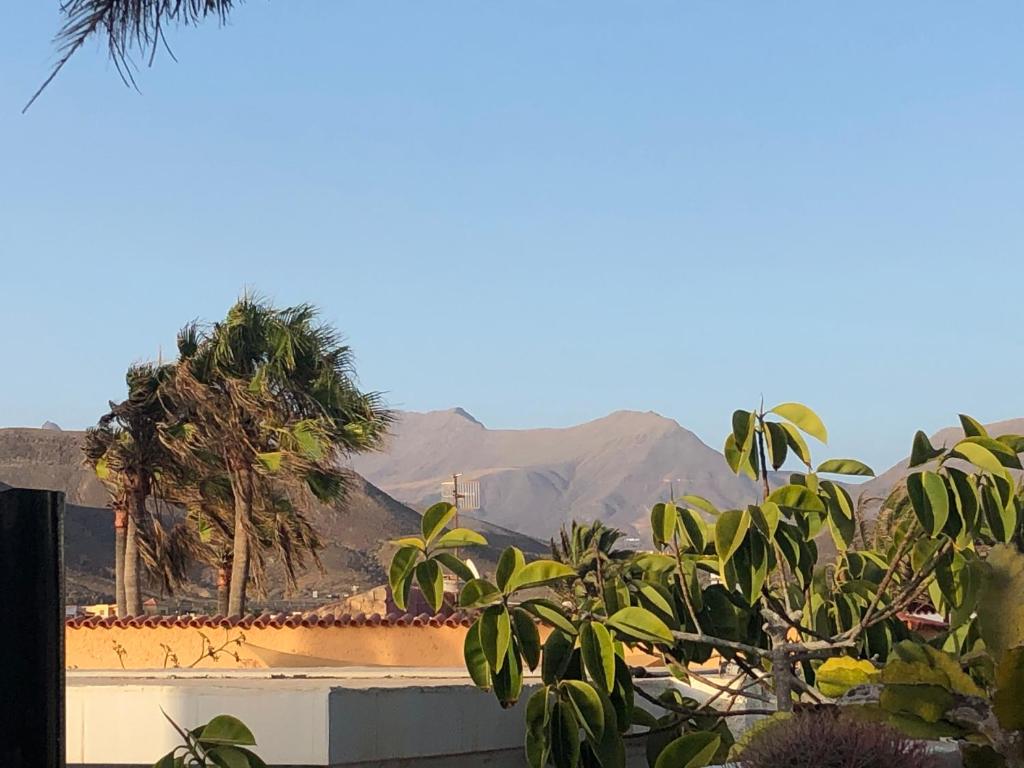 A general mountain view or a mountain view taken from the holiday home