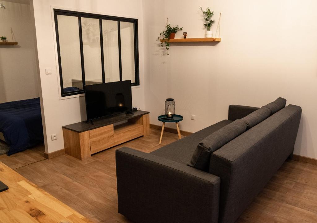 ein Wohnzimmer mit einem Sofa und einem TV in der Unterkunft T2 moderne hypercentre 40m2, au pied de la cathédrale in Auch