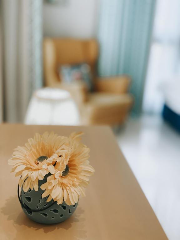 Fotografie z fotogalerie ubytování Mina Al Fajer Villas v destinaci Wāsiţ