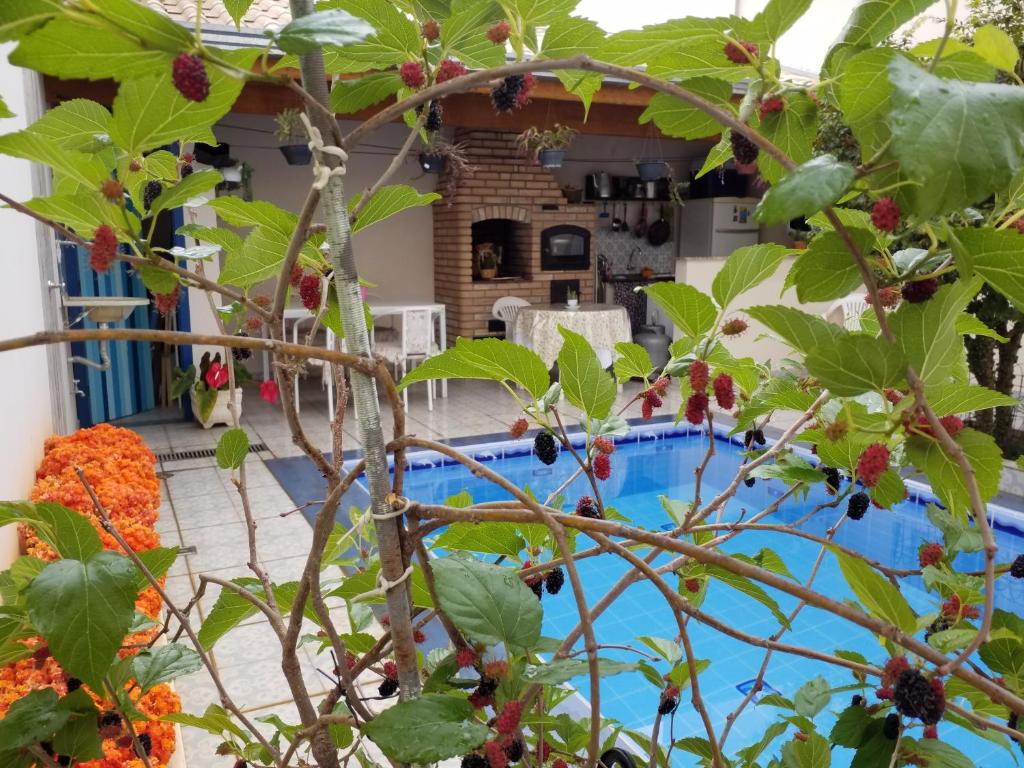 a house with a fruit tree in front of a swimming pool at Flor de Canela in São Roque