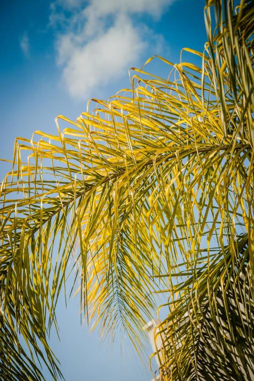 Fiesta Inn Express Monclova