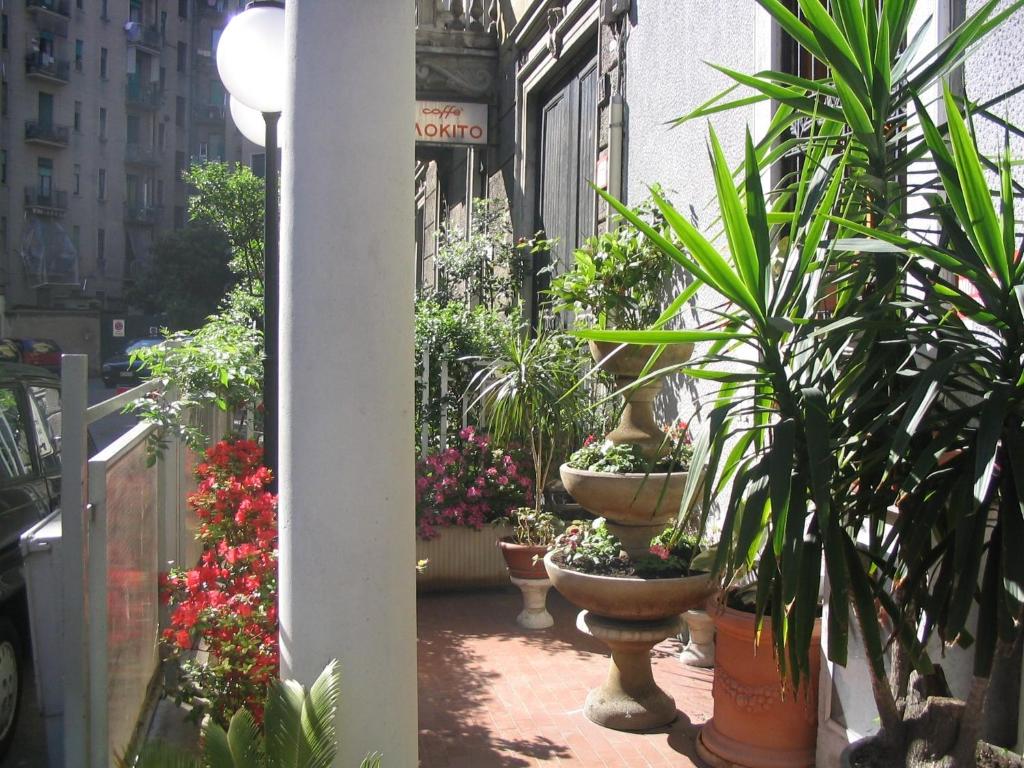 Hotel Mayorca - Resim 32