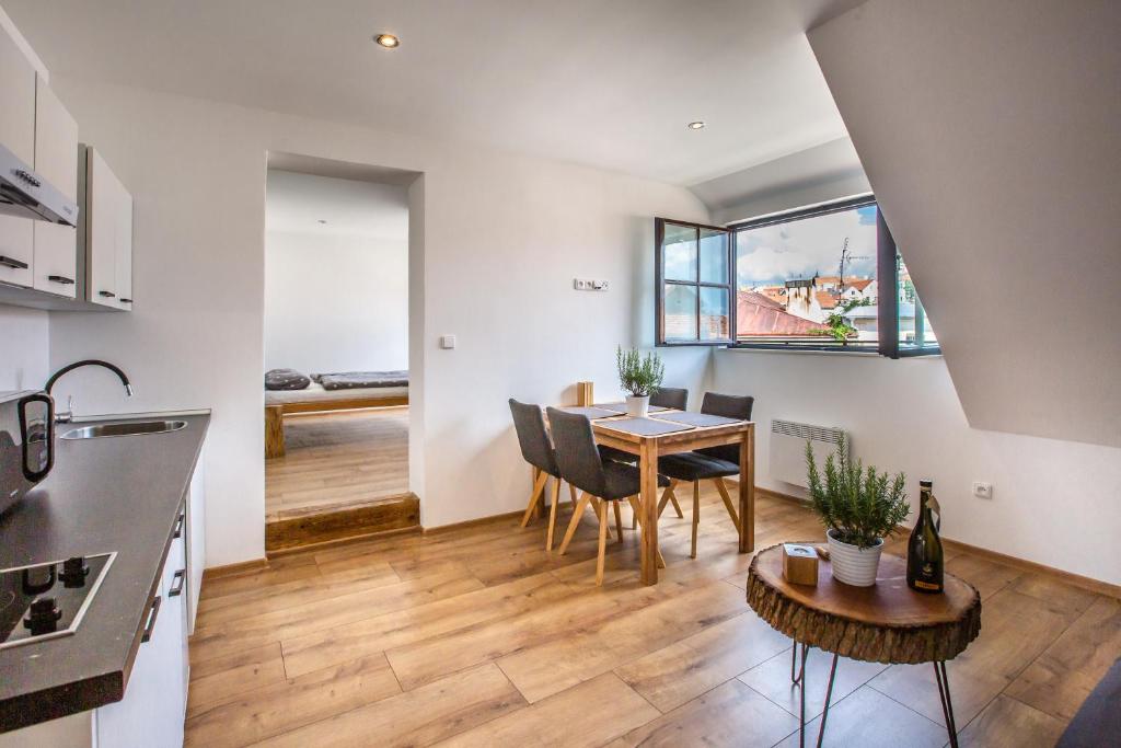 Kuchyň nebo kuchyňský kout v ubytování Apartmány na Mikulášském náměstí