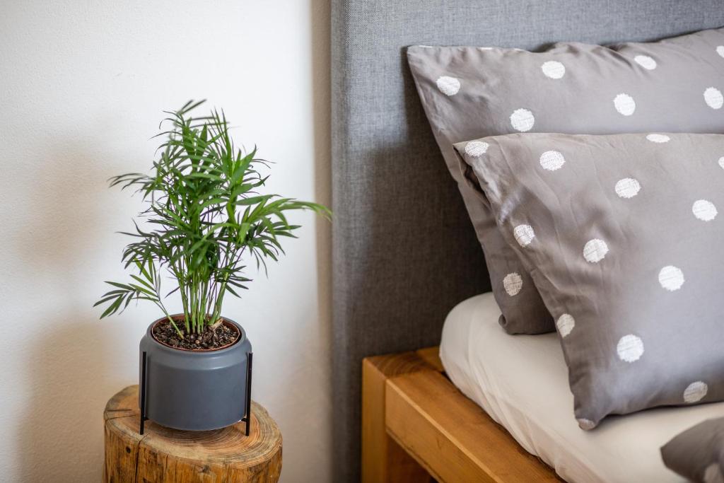 Postel nebo postele na pokoji v ubytování Apartmány na Mikulášském náměstí