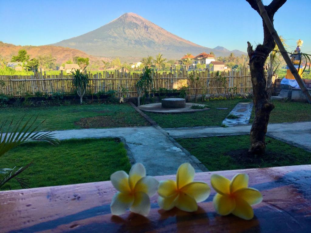 two flowers on a table with a mountain in the background at Agung Inn Amed in Amed