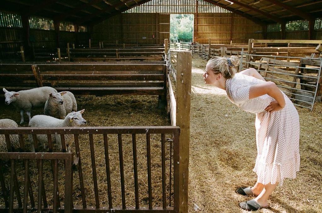 Fotografie z fotogalerie ubytování Landlig idyl på Dommergården Bed and Coffee v destinaci Læsø