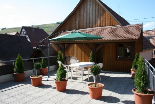 Gite Du Vigneron – photo 16