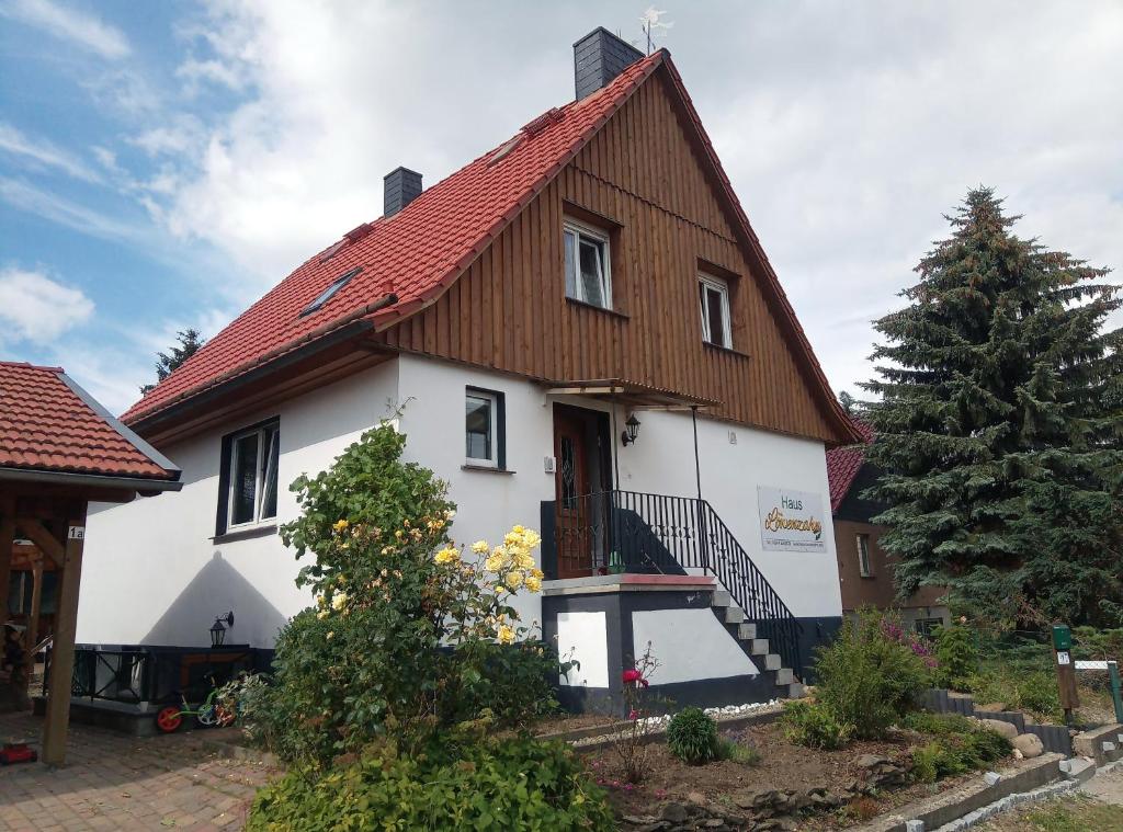 una gran casa blanca con techo rojo en Haus Löwenzahn en Hüttenrode