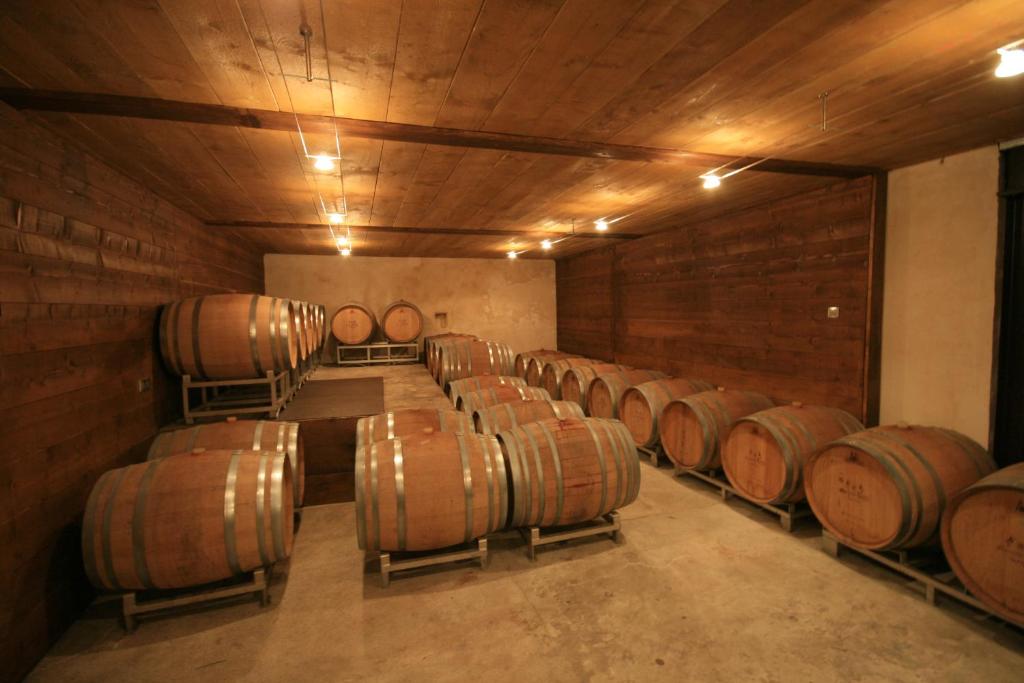 Gite Du Vigneron – photo 20