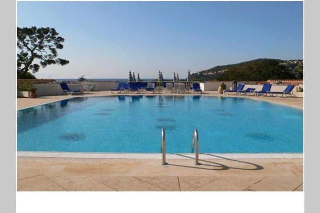 a large swimming pool with blue chairs and the ocean at La Petite Cachette - Pool and 150m to the beach in Villefranche-sur-Mer