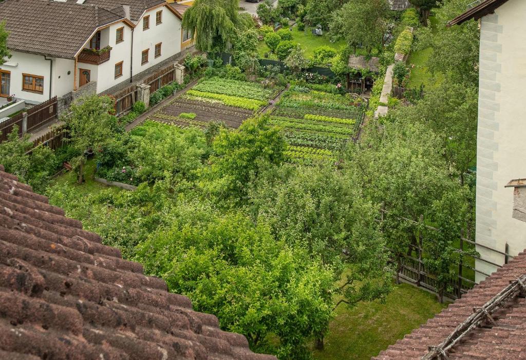 Zahrada ubytování Hotel Gasthof Prunner