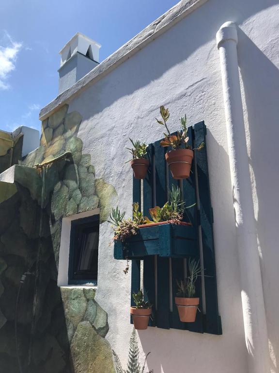 Fotografie z fotogalerie ubytování Pura Vida Casa del Mar v destinaci Breña Baja