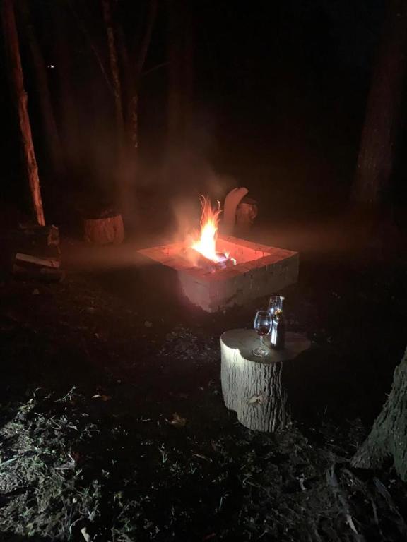  Sítio Nossa Floresta