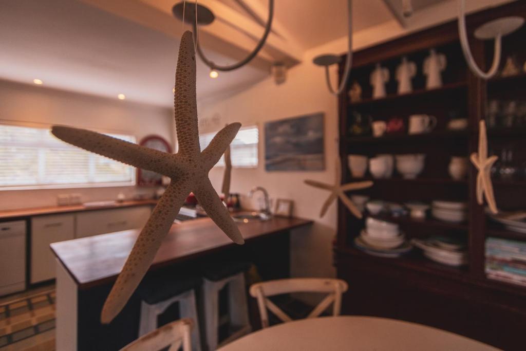 a starfish hanging from the ceiling of a kitchen at Pringle Beach House in Pringle Bay