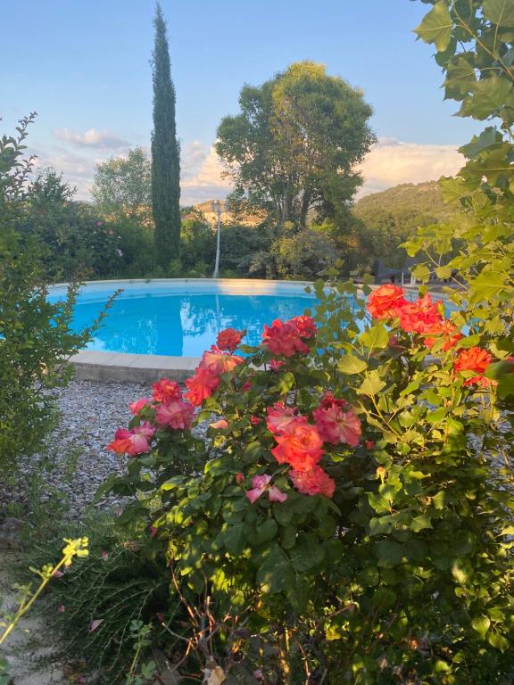 uma piscina com flores vermelhas em frente em Les Romarins em Crestet