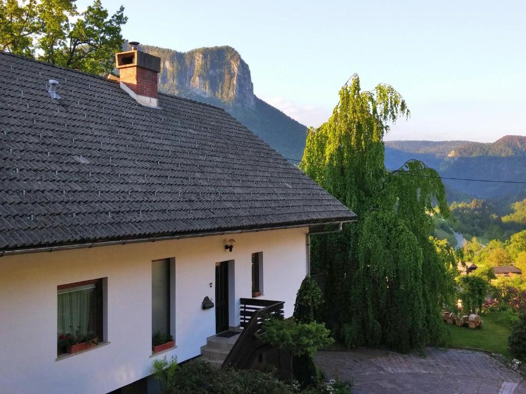 a white house with a mountain in the background at Spacious apartment in Bled