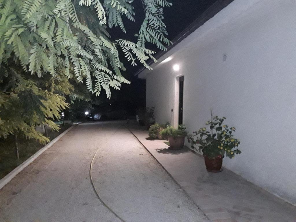 Fotografia z galérie ubytovania La Casa nel Verde v destinácii Larino