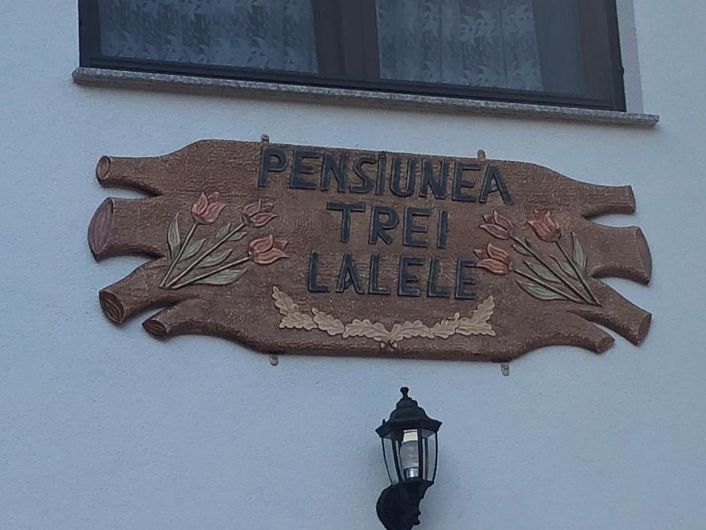 a sign on the side of a building with a street light at Pensiunea Trei Lalele in Moisei