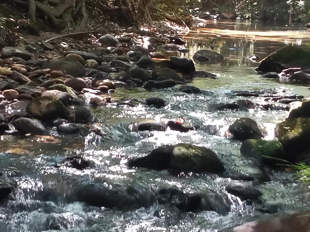  Vale dos pássaros