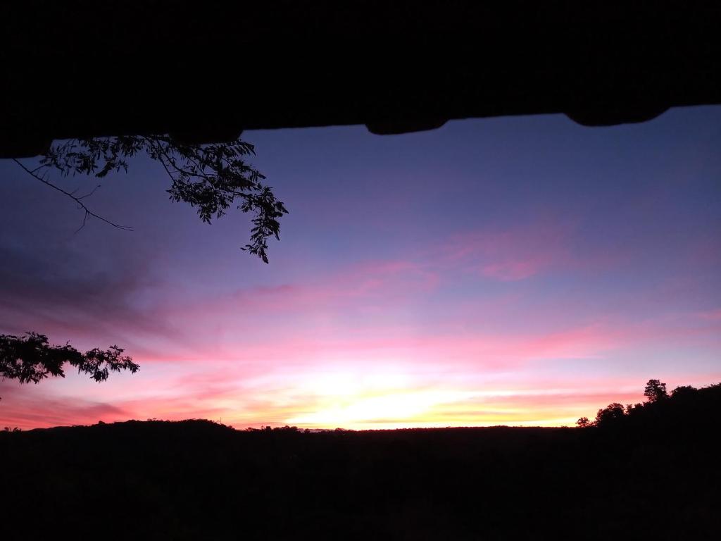  Vale dos pássaros