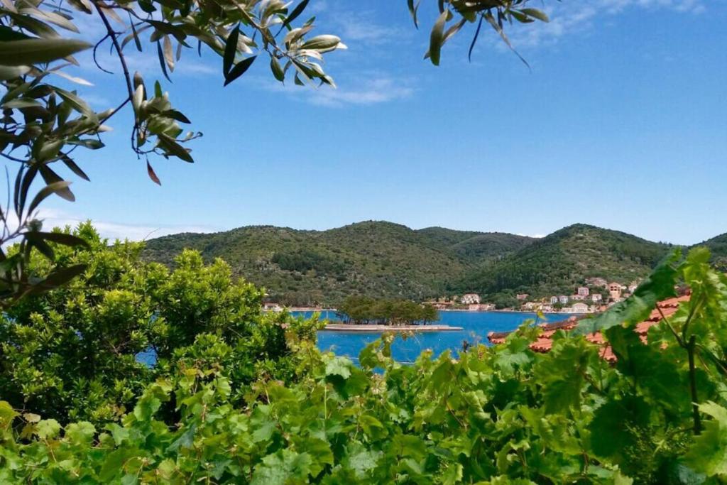 a view of the lake from the vineyards at Selinofoto - A beautiful, traditional house in Vathy, Ithaca in Vathi, Ithaka