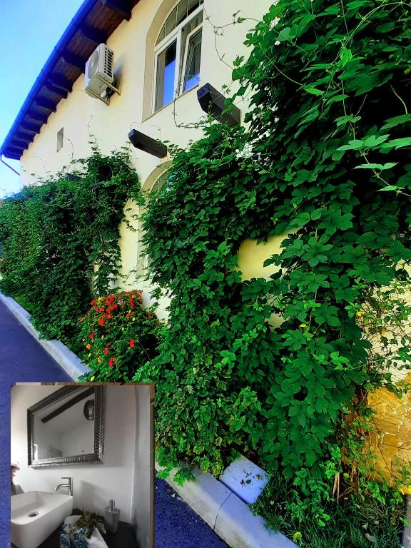 Magic Apartments Hunedoara - Appartement