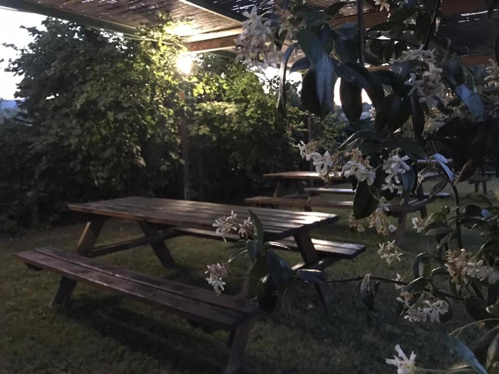 Zahrada ubytování B&B Il Pettirosso di Siena