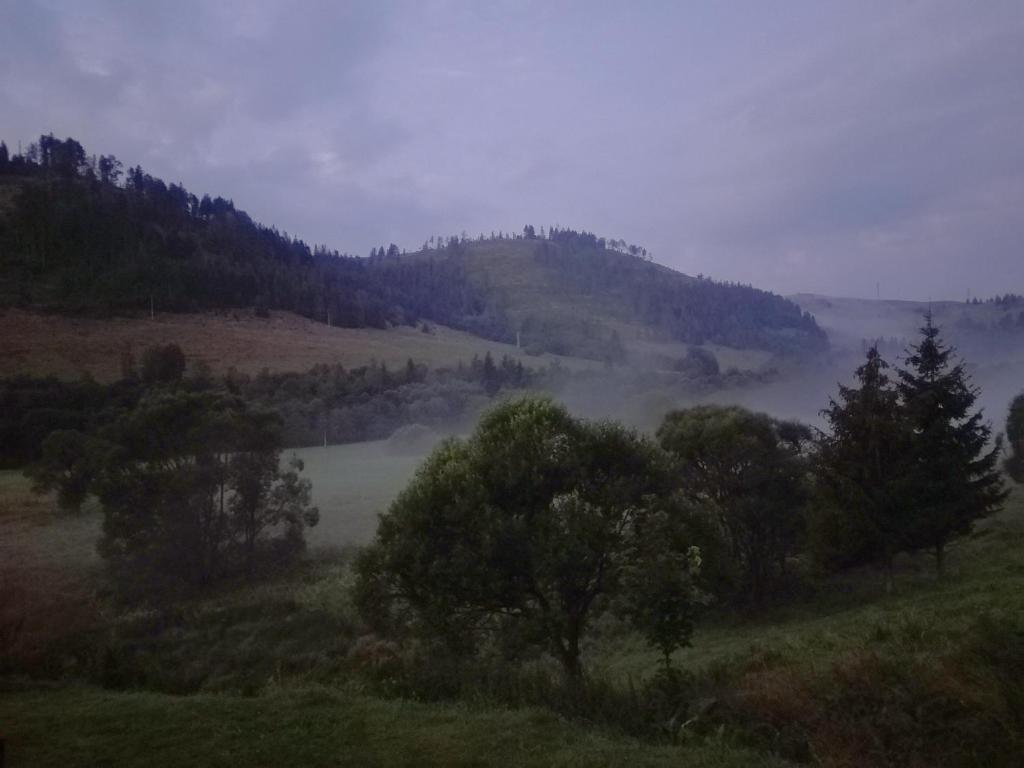 Příroda nedaleko apartmánu