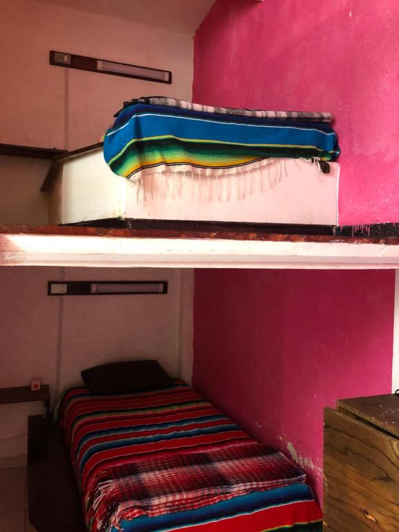 Iguana Hostel Oaxaca - Bed In 4-Bed Dormitory Room