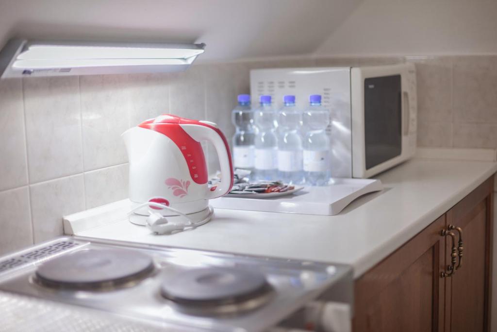 Kuchyň nebo kuchyňský kout v ubytování Hotel Peko