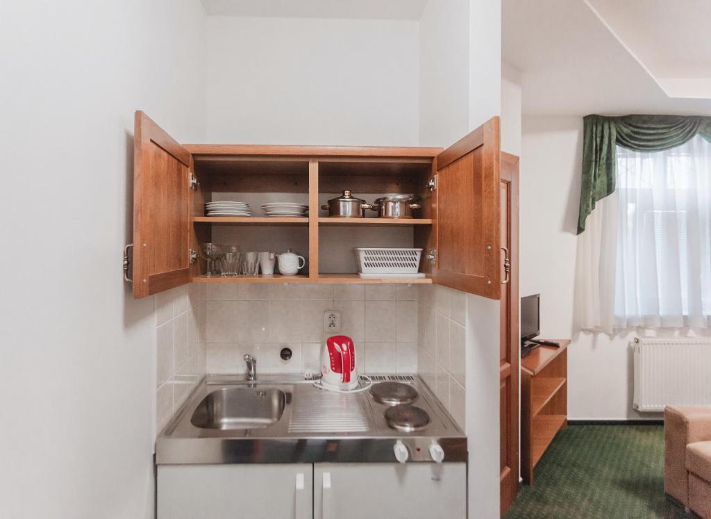 Kuchyň nebo kuchyňský kout v ubytování Hotel Peko
