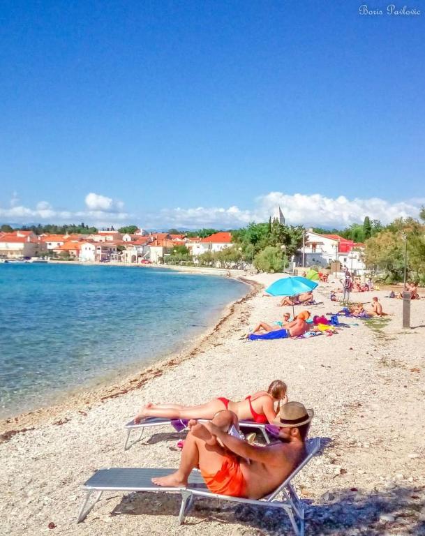 Príroda v okolí apartmánu
