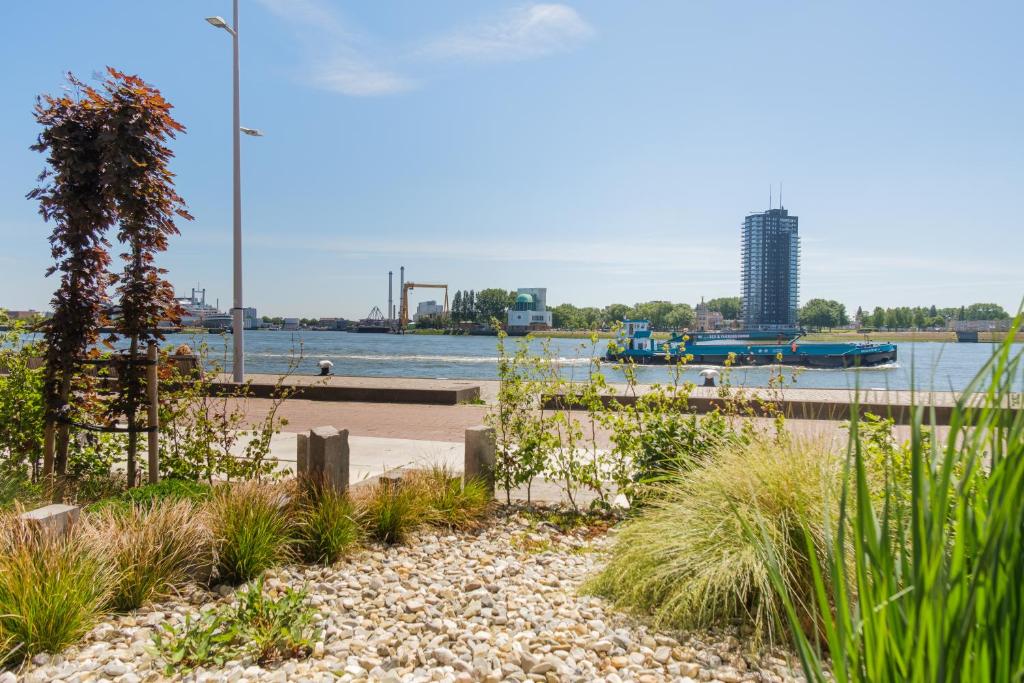 a garden with plants and a river in the background at B&B Maasview in Rotterdam