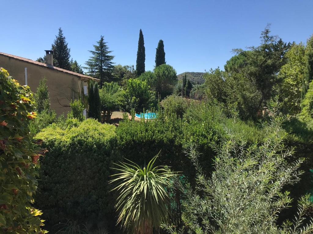 un jardin avec des buissons et des arbres et un bâtiment dans l'établissement En Buena Hora, à Saze