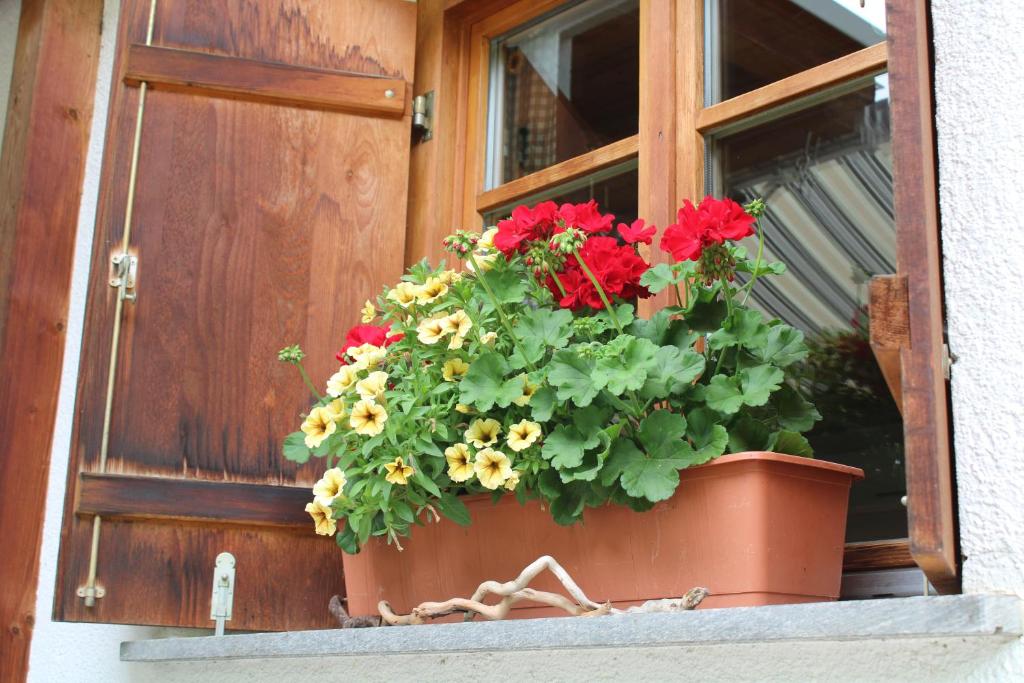 Afbeelding uit fotogalerij van Ferienwohnung in der Schoß in Schruns