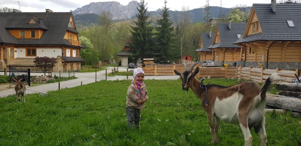 Zvieratá v apartmáne alebo blízkom okolí