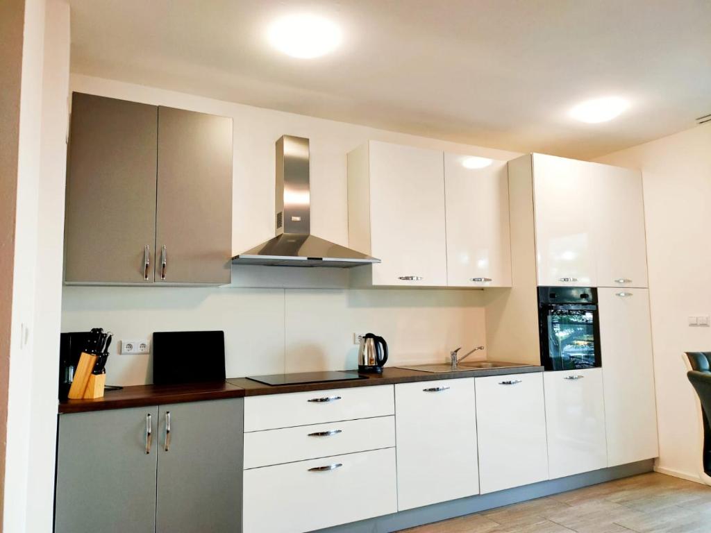 Kuchyňa alebo kuchynka v ubytovaní Apartments Elin