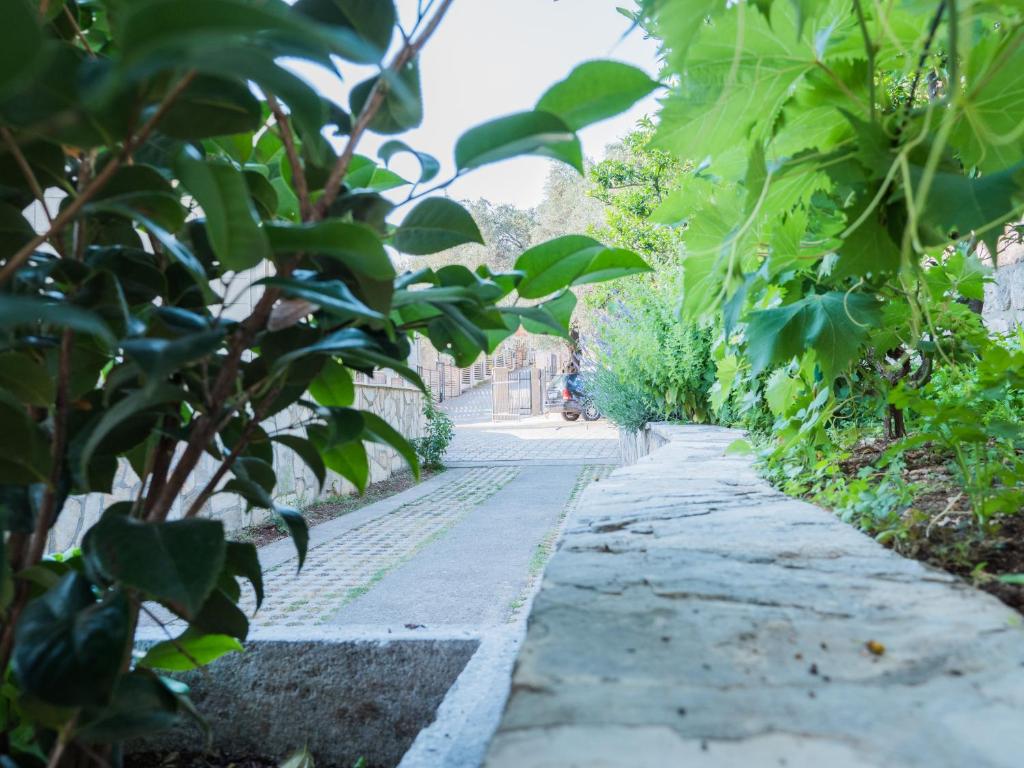 Сад в REZEVICI BOUTIQUE VILLA