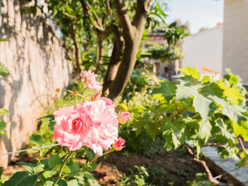 Сад в REZEVICI BOUTIQUE VILLA