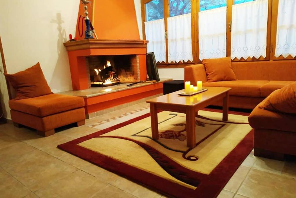 a living room with a couch and a fireplace at Beautiful and Comfortable House in Vizitsa