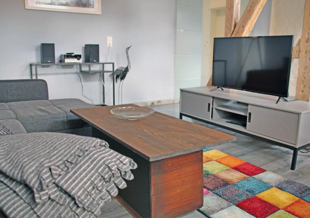 TV a/nebo společenská místnost v ubytování Altstadt Ferienwohnung Erfurt