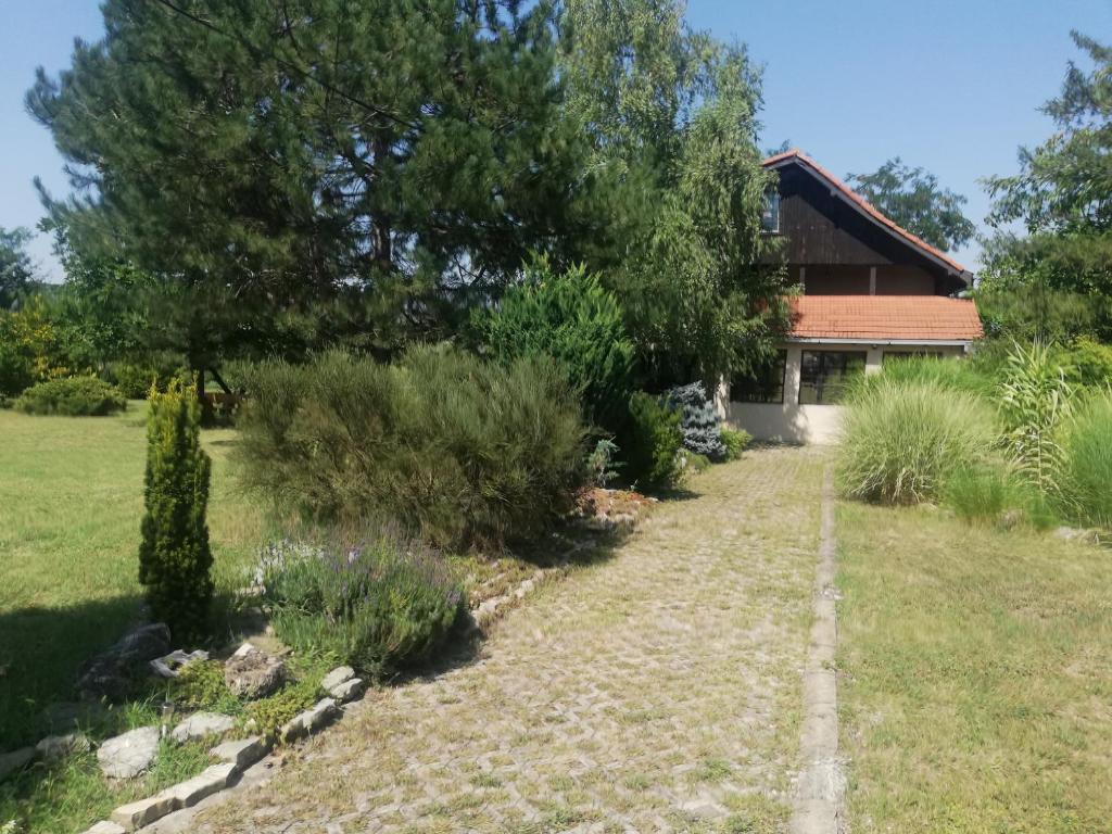 Vrt pred nastanitvijo Vila Timok
