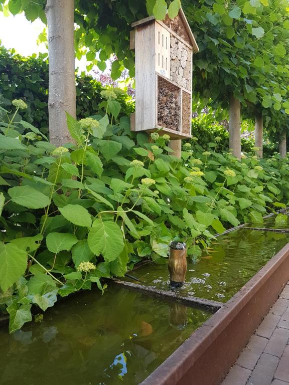 Zahrada ubytování Hotel Essenza