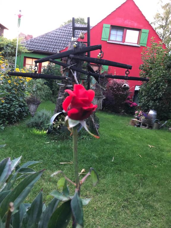 una casa rossa con un fiore rosso nel cortile di Zur Alten Filmkiste a Zingst