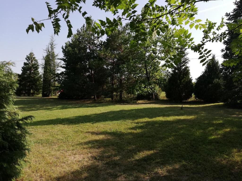 Vrt pred nastanitvijo Vila Timok
